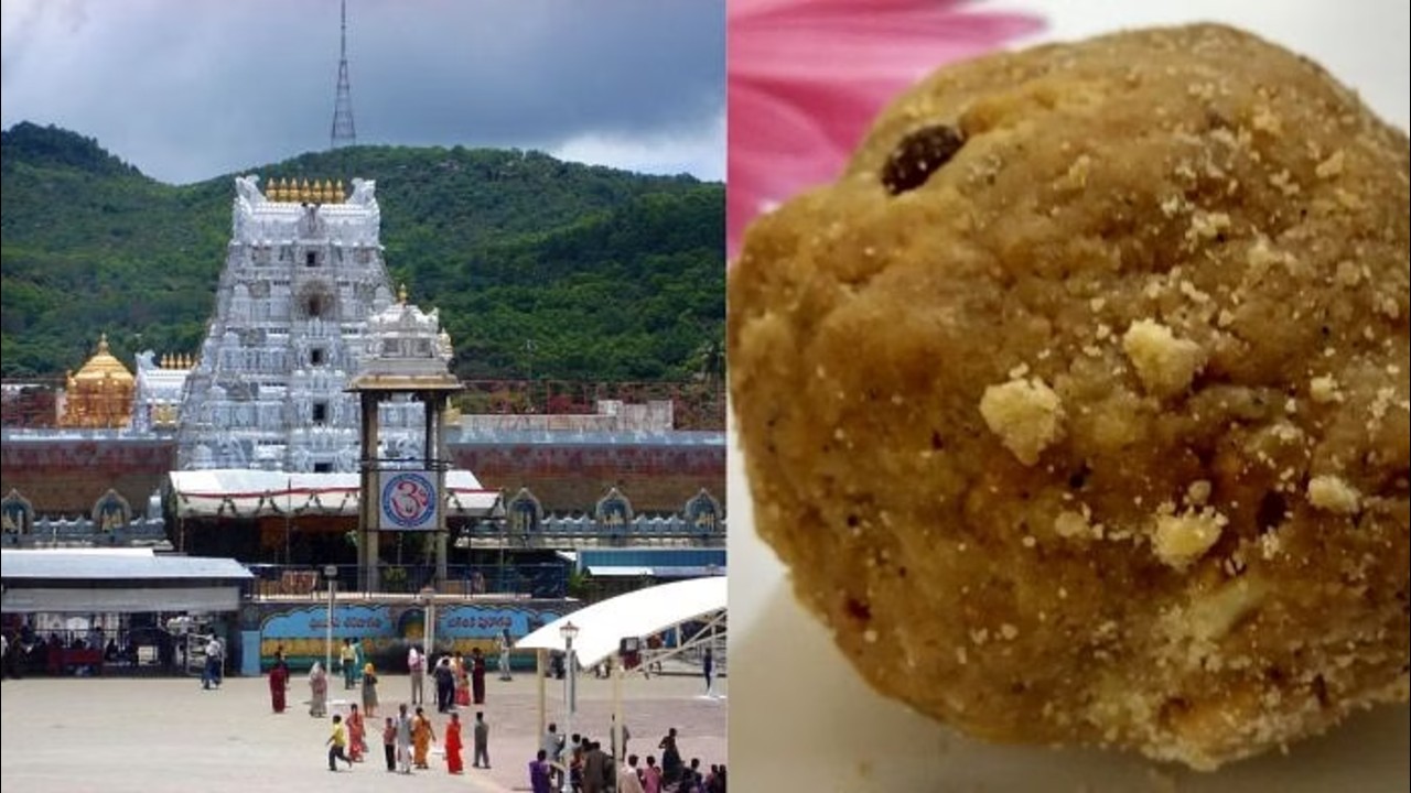 Tirumala Laddu Scam: Blacklisted Dairy Firm Used Proxy Suppliers to Evade Ban